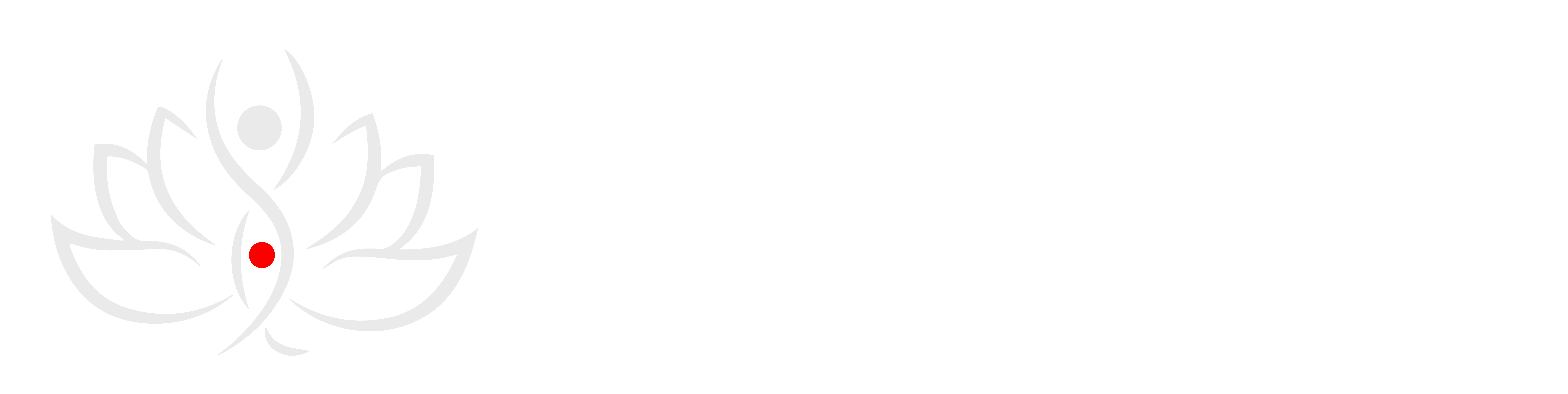 Yasna Biomagnetismo